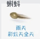 心动小镇