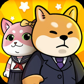 猫宅97app