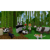 Minecraft 国际版金币获取指南