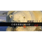 已老实求放过梗是什么意思