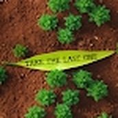 拿下最后一个TAKETHELASTONENumberGame正式版
