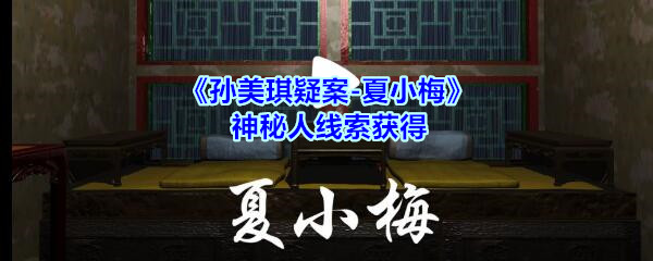 孙美琪疑案夏小梅