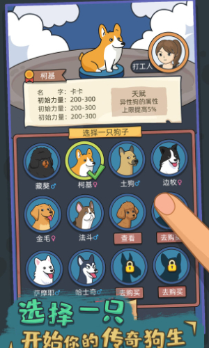 狗生模拟器无广告
