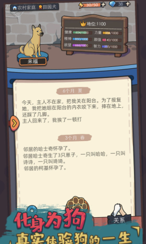 狗生模拟器无广告