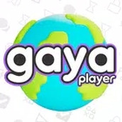 球员玩法GayaPlayer正式版