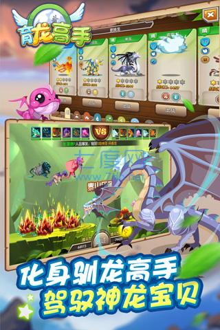 育龙高手版
