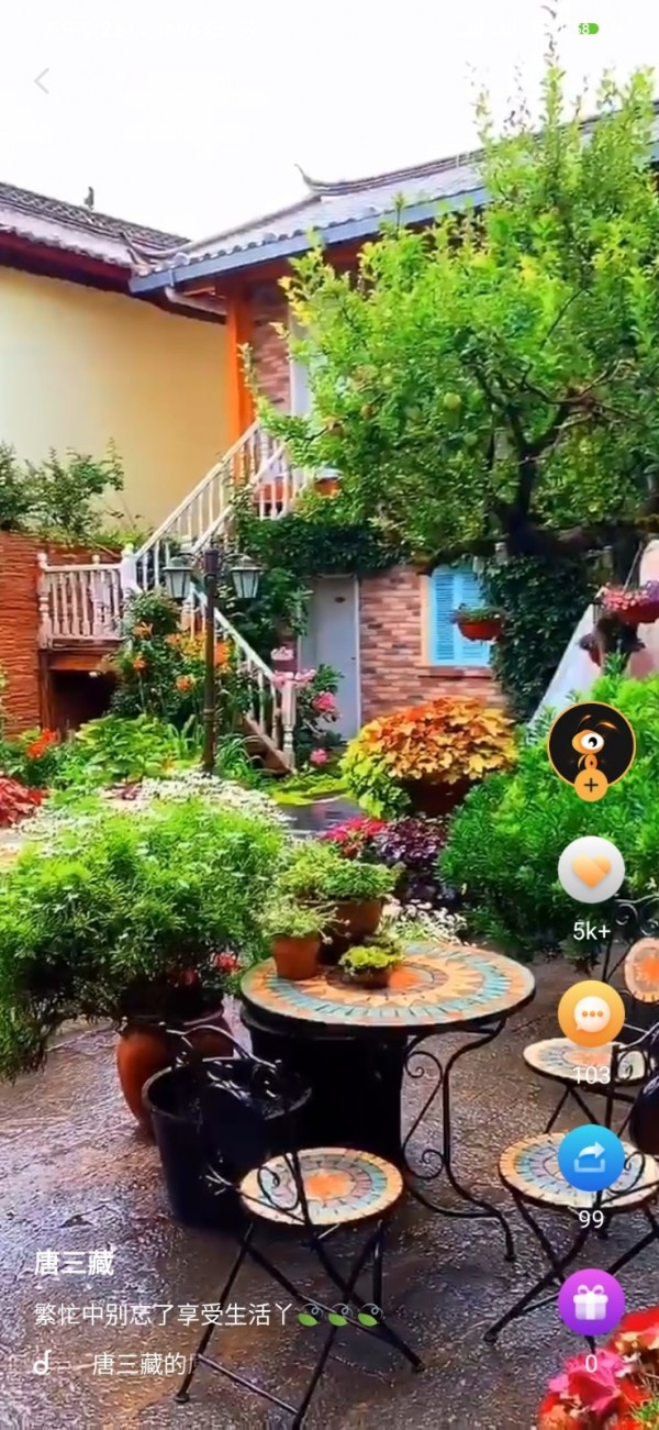 鸭脖视频app