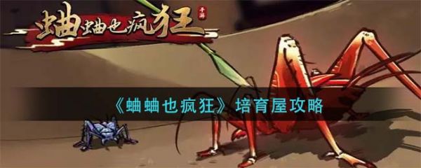 蛐蛐也疯狂