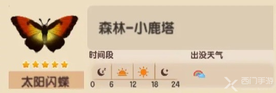 心动小镇