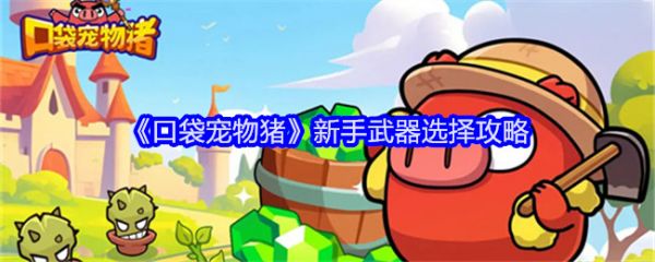 口袋宠物猪