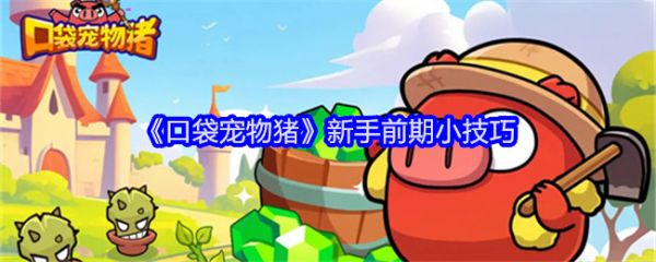 口袋宠物猪