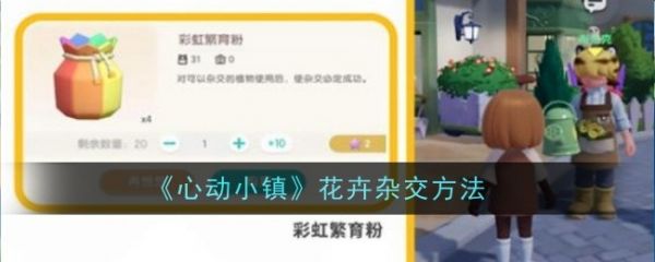 心动小镇