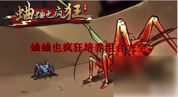 蛐蛐也疯狂