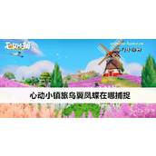 心动小镇太阳闪蝶捕捉指南