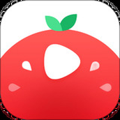 番茄视频app