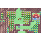 Pokemmo游戏攻略如何轻松改特性