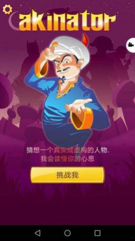 网络天才网易版