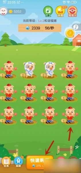 阳光养猪场