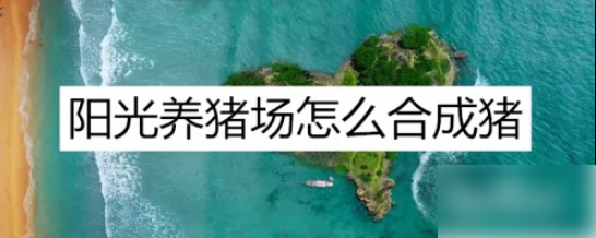 阳光养猪场