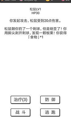 流浪日记正版