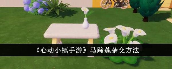 心动小镇