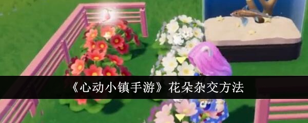 心动小镇