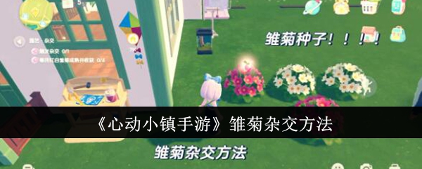 心动小镇