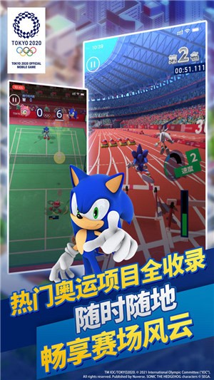 索尼克在下载安装