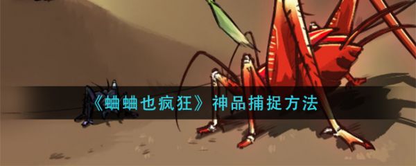 蛐蛐也疯狂