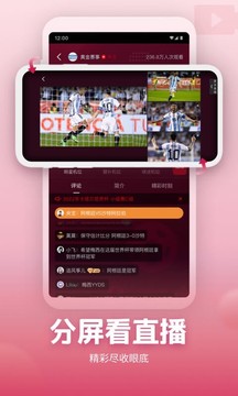 央视频客户端