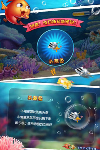 大鱼吃小鱼3安装包