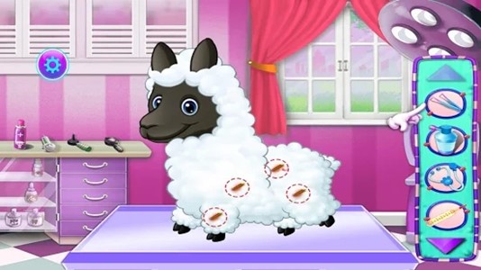 羊驼宠物护理免费正版