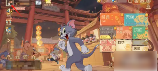 猫和老鼠
