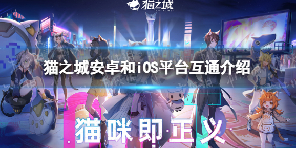 猫之城