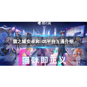 猫之城安卓与iOS平台互通指南