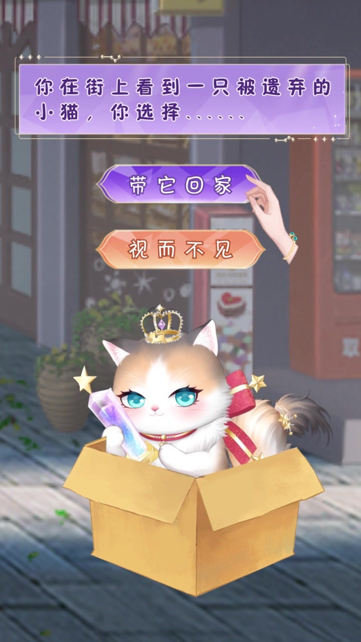 我的灵宠是只猫免费正版