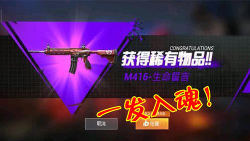 和平精英开箱模拟器游戏下载