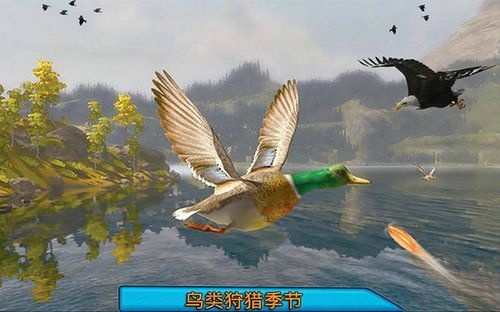沙漠鸟类狙击手（下载）