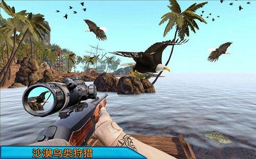 沙漠鸟类狙击手（下载）