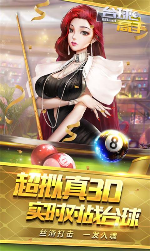 台球高手（游戏安装）