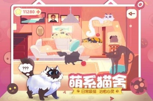 左瞄右喵下载