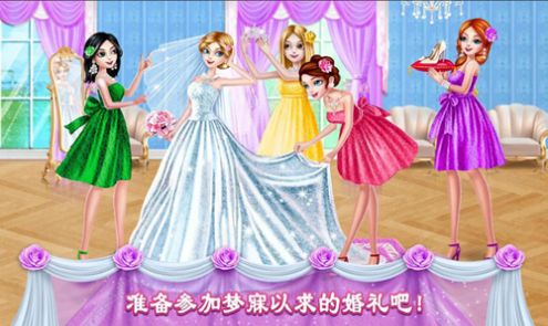 糖果公主美妆沙龙（游戏安装）