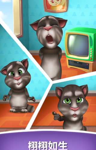 我的汤姆猫正式版