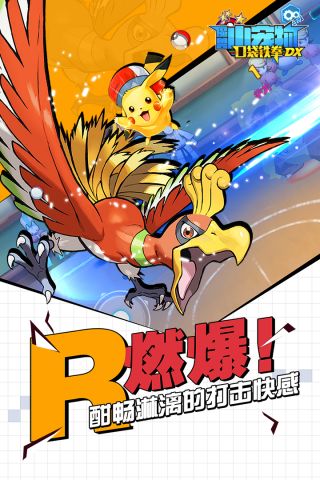 口袋铁拳锦标赛DX安装