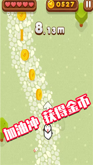 萌宠集会