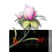 鸣潮崖仙子怎么找