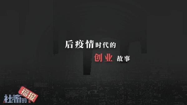 社畜的福报免费正版