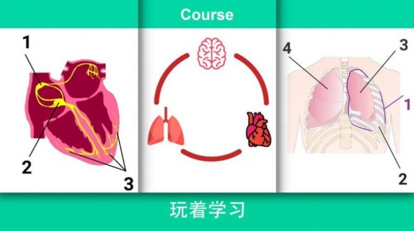 现实医疗模拟器免费正版