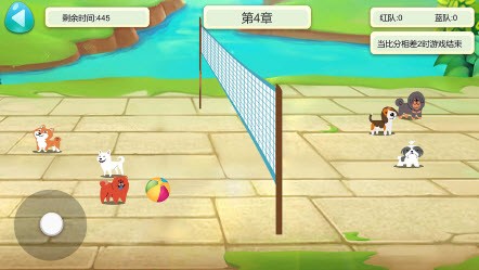 狗狗排球队