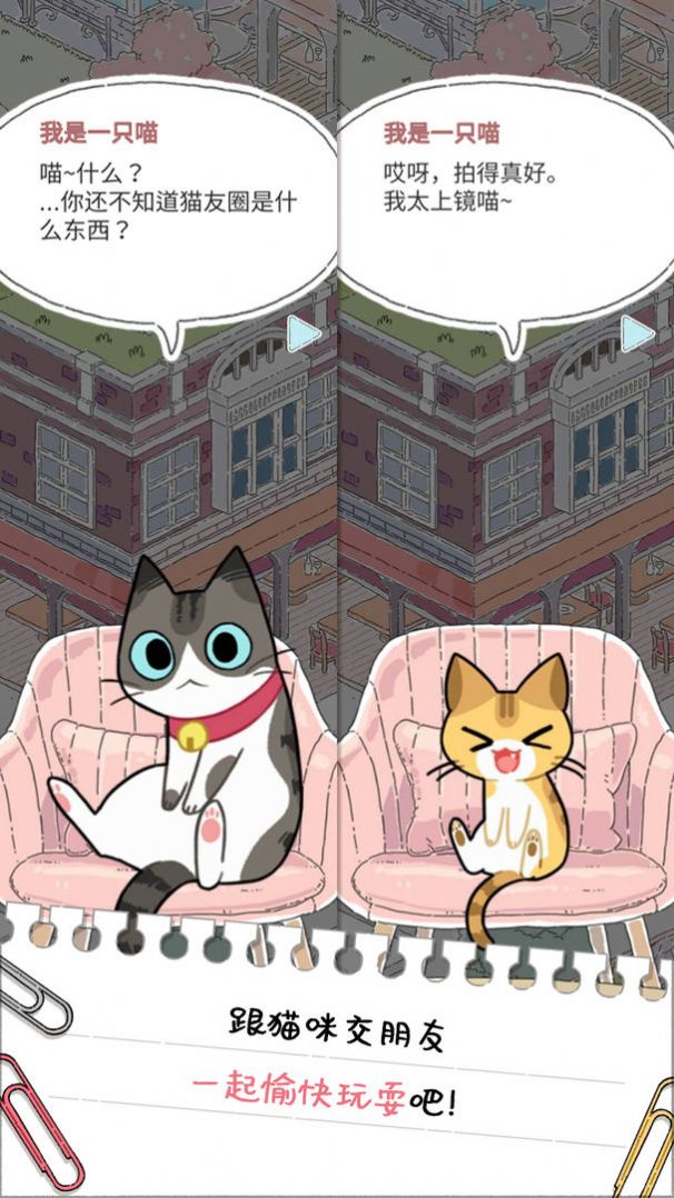 猫友圈猫咪的旅行安装包